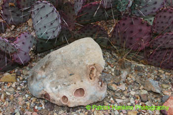 BigBend24