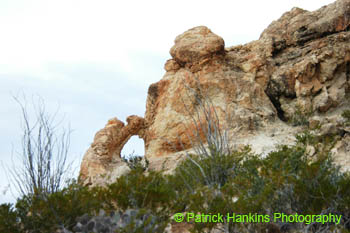 BigBend29