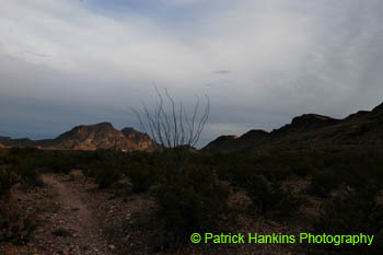 BigBend32
