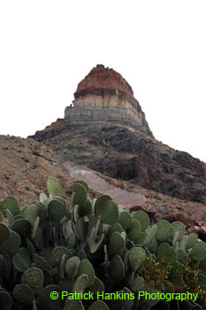 BigBend41