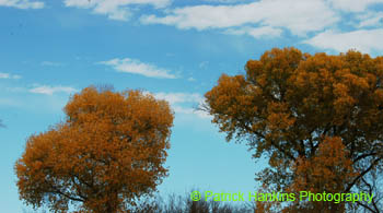 BigBend44