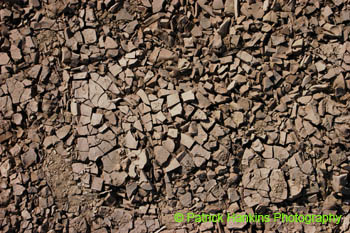 BigBend47