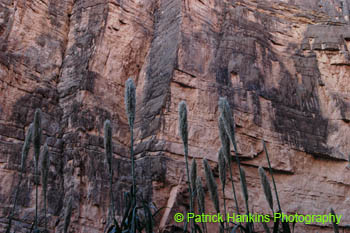 BigBend52