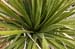 BigBend40